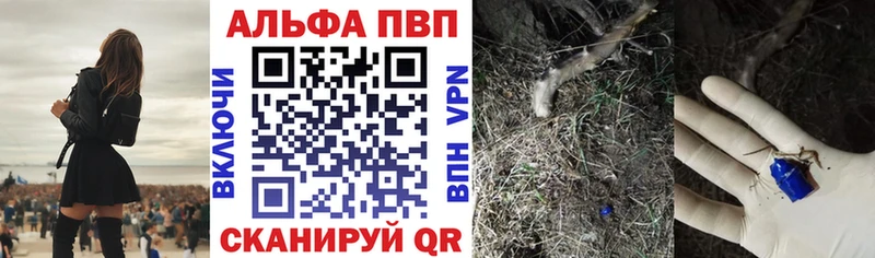 Alpha PVP Соль  Купить закладки  Весьегонск 