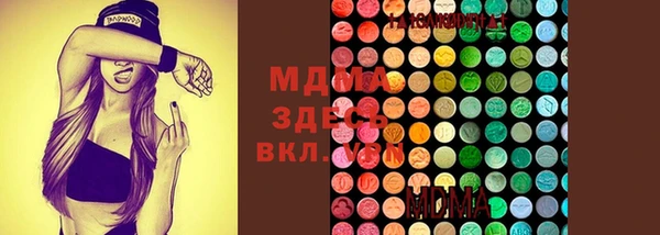 крисы Богородицк