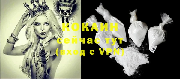 крисы Богородицк