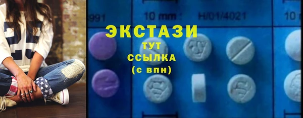 крисы Богородицк