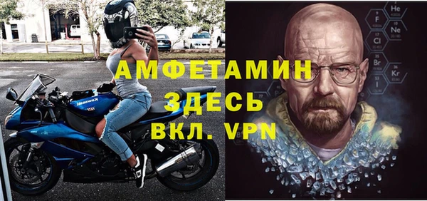 крисы Богородицк