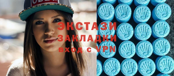 крисы Богородицк
