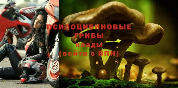 крисы Богородицк