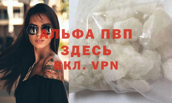 крисы Богородицк