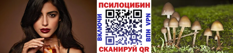 Купить закладки  Весьегонск  Псилоцибиновые грибы мухоморы 